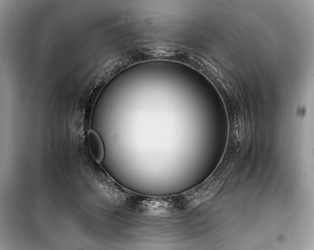 X0000100980512200806241546