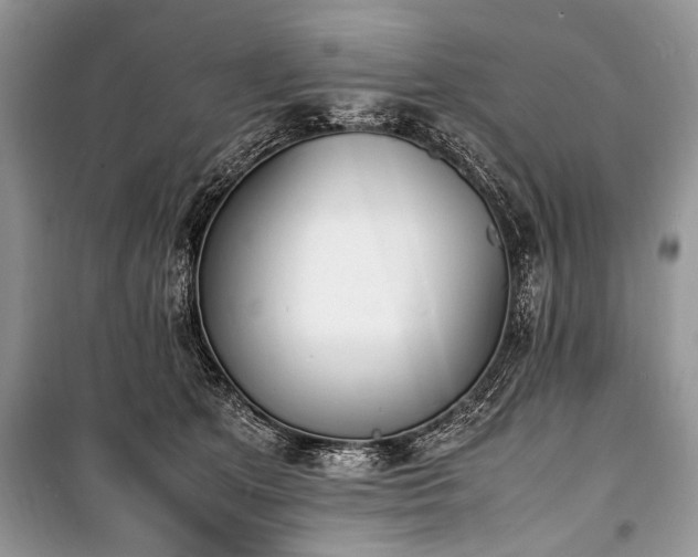 X0000100980513200806241546