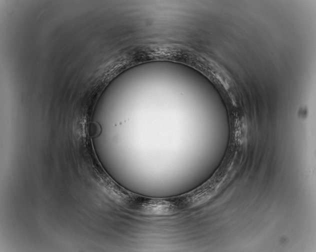 X0000100980514200806241546