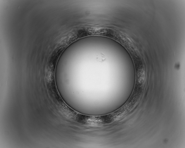 X0000100980515200806241546