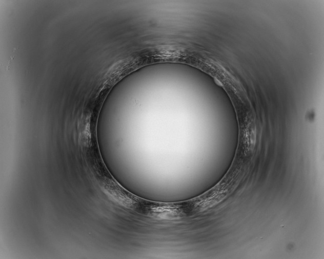 X0000100980516200806241546