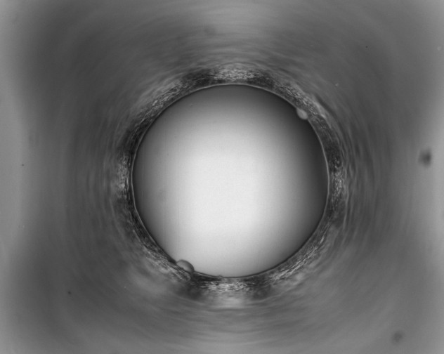 X0000100980517200806241546