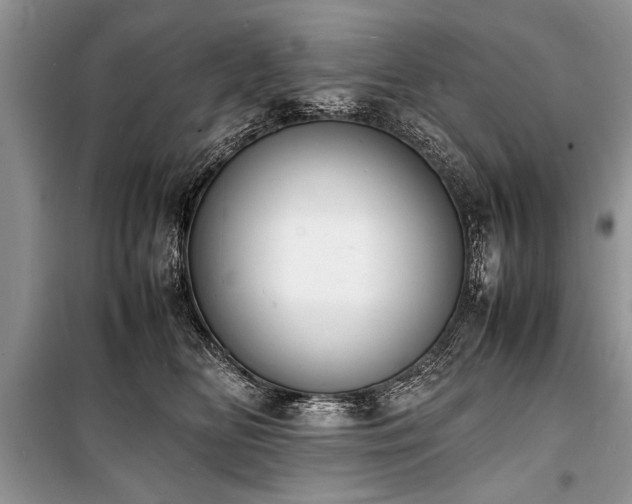 X0000100980518200806241546