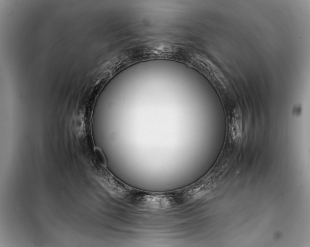 X0000100980520200806241546