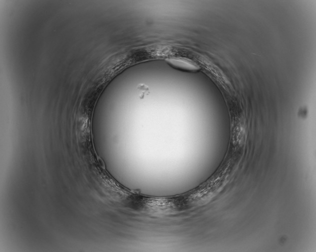 X0000100980521200806241546