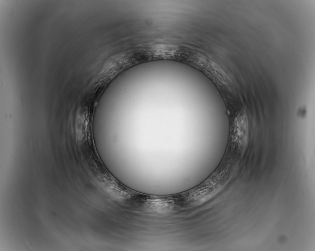 X0000100980522200806241546