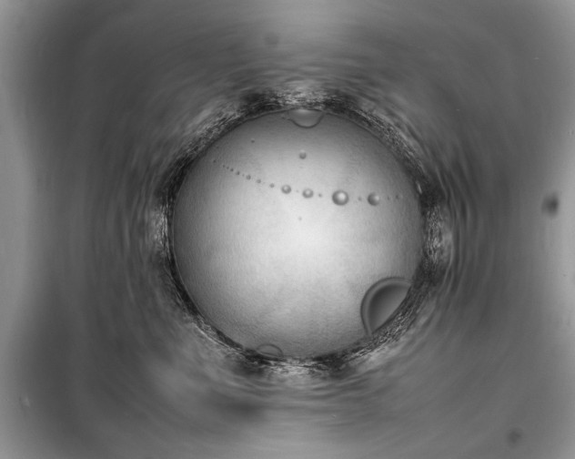 X0000100980523200806241546