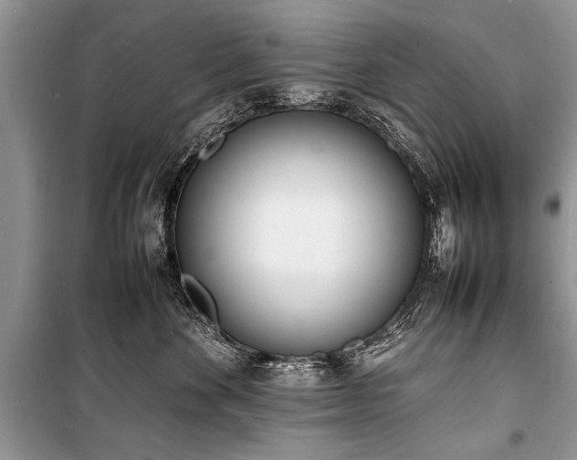 X0000100980524200806241546