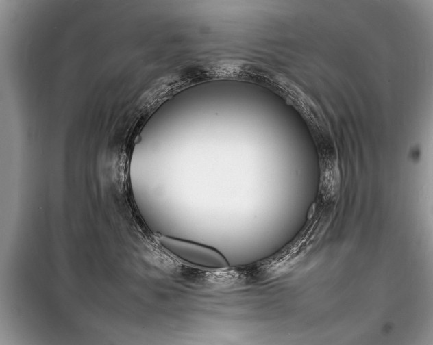 X0000100980525200806241546