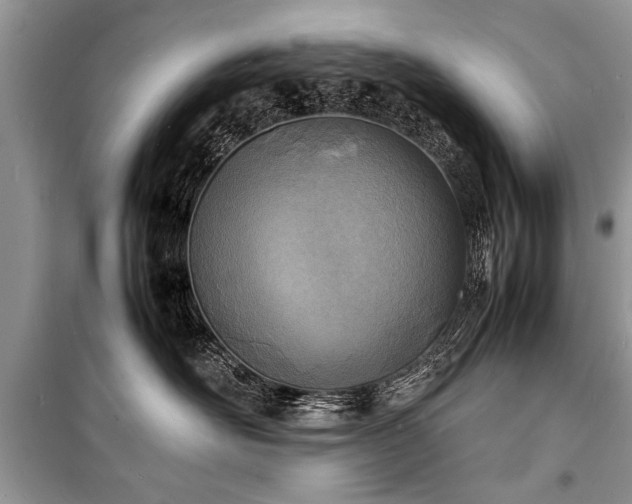 X0000100980526200806241546