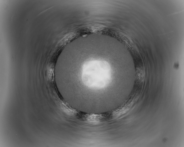 X0000100980527200806241546