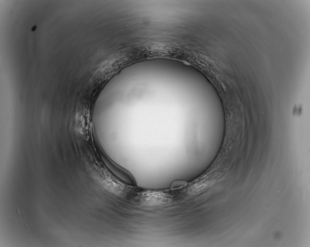 X0000100980528200806241546