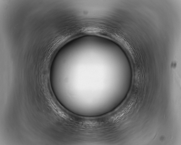 X0000100980529200806241545