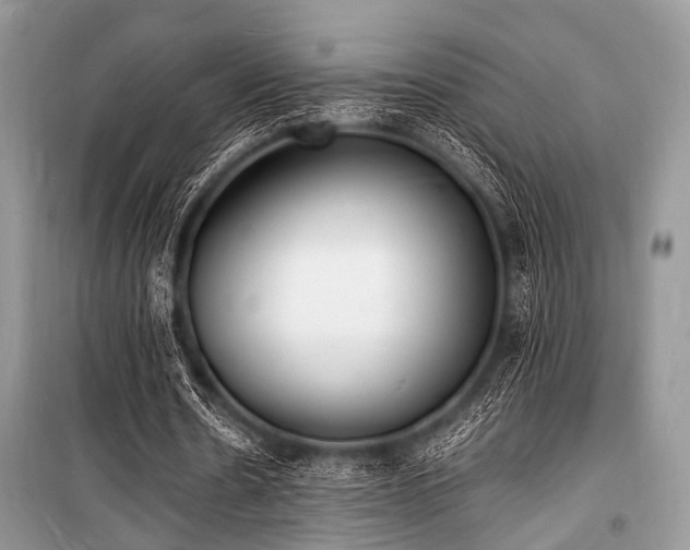 X0000100980530200806241545