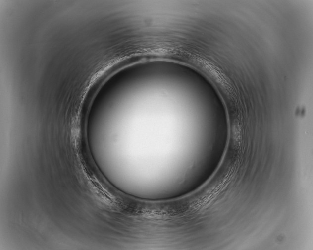 X0000100980532200806241545