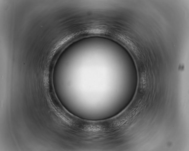 X0000100980535200806241545