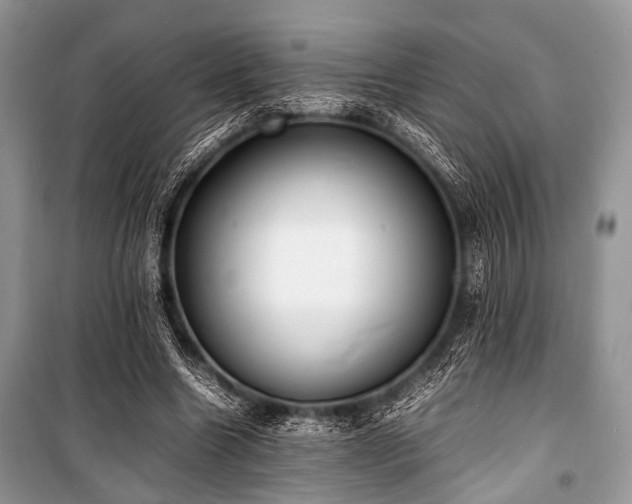 X0000100980538200806241545