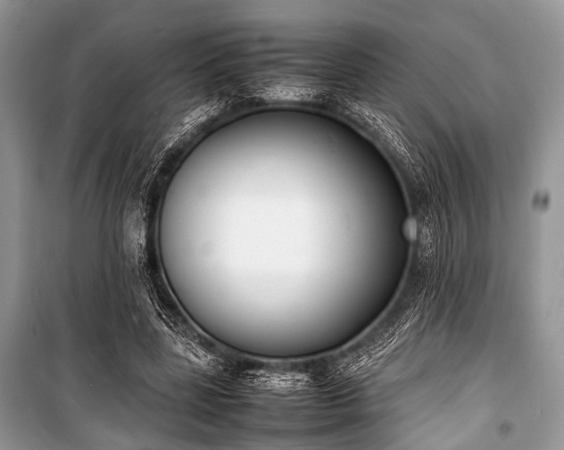 X0000100980539200806241545