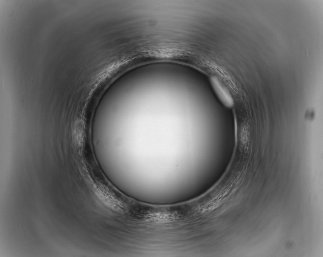 X0000100980540200806241545