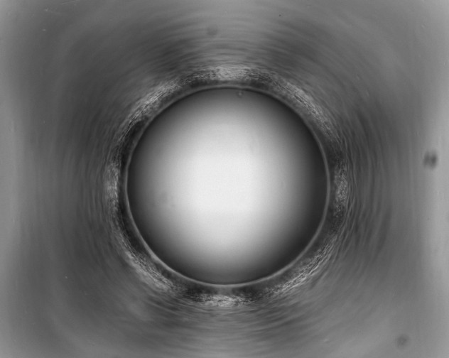 X0000100980542200806241545