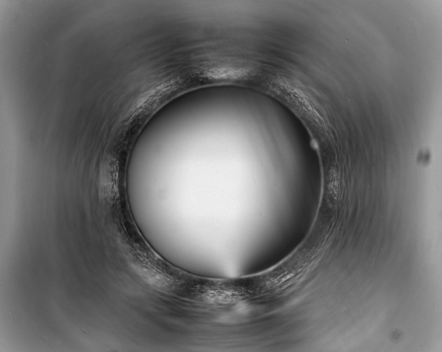 X0000100980547200806241545