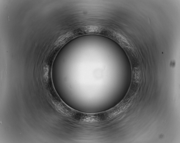 X0000100980550200806241545