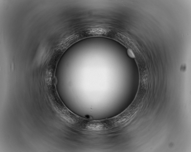 X0000100980551200806241545