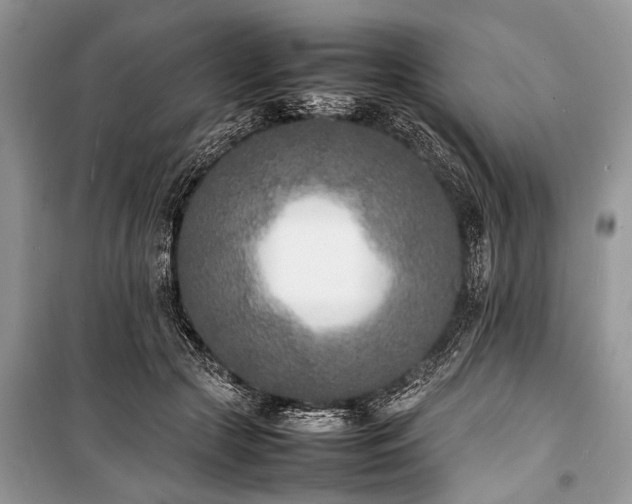 X0000100980553200806241545