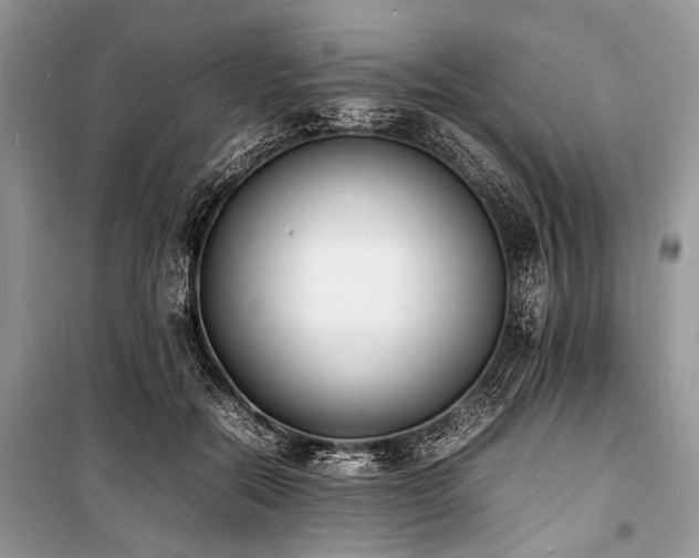 X0000100980554200806241545