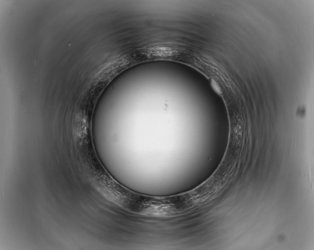 X0000100980555200806241545