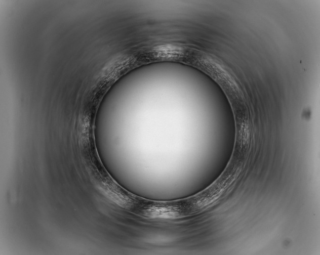 X0000100980557200806241546