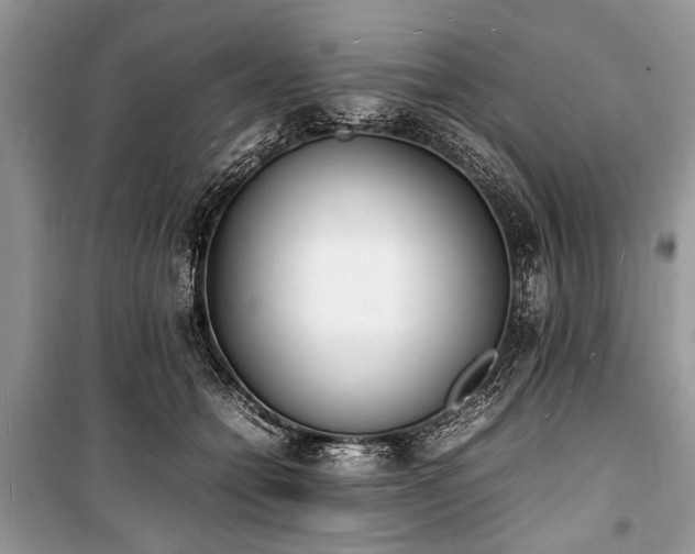 X0000100980558200806241546