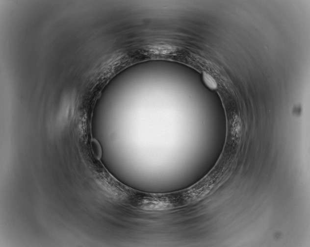 X0000100980559200806241546