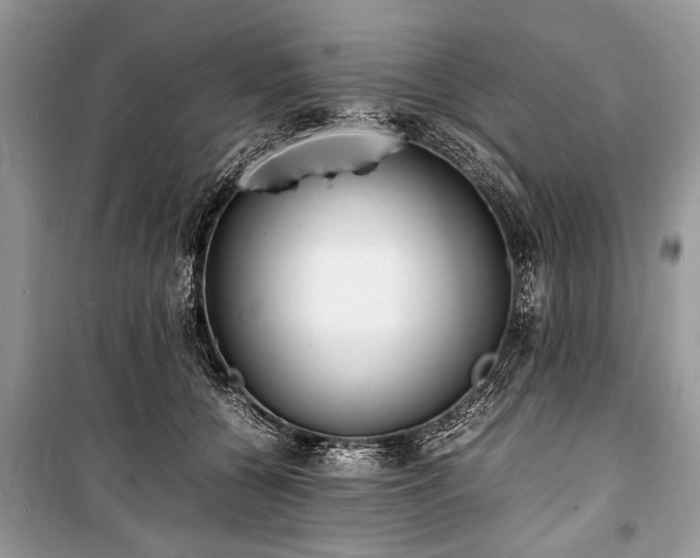 X0000100980560200806241546