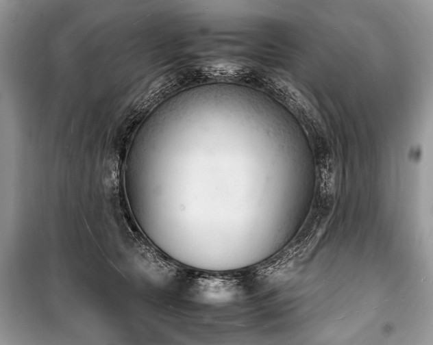 X0000100980561200806241546