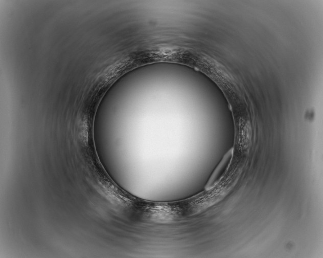 X0000100980562200806241546