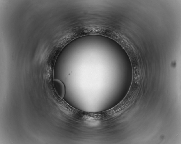 X0000100980563200806241546