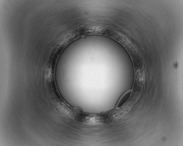 X0000100980564200806241546