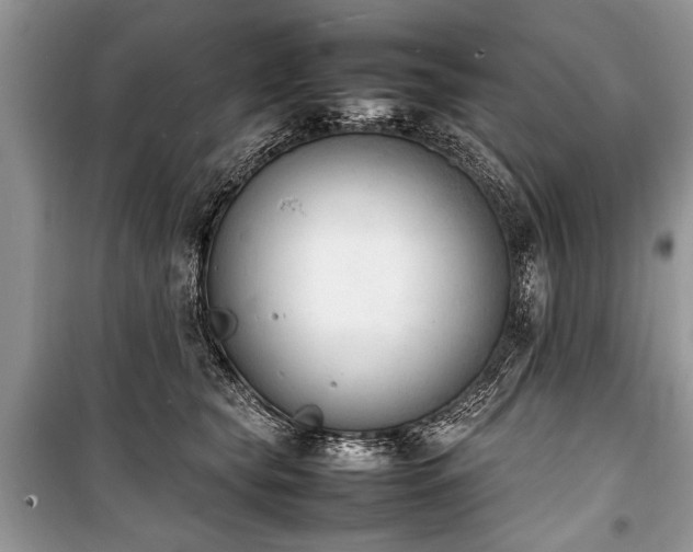 X0000100980565200806241546