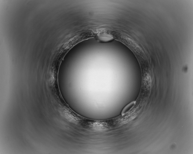 X0000100980566200806241546