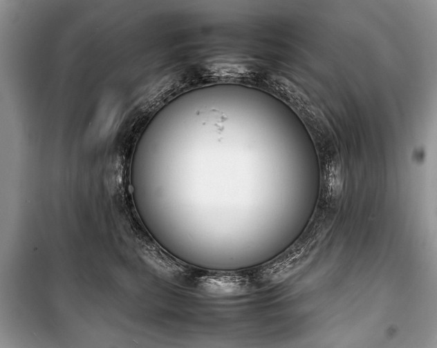 X0000100980567200806241546