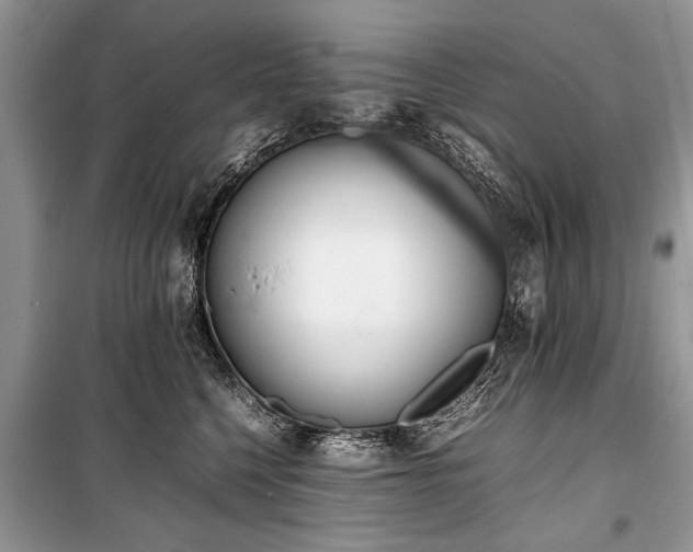 X0000100980568200806241546