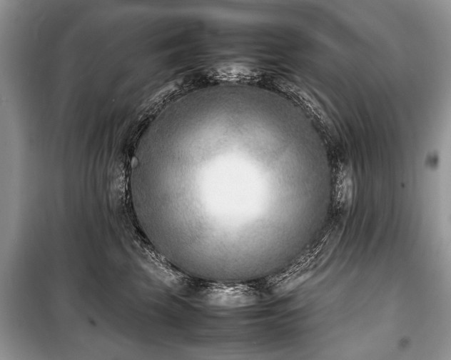 X0000100980569200806241546