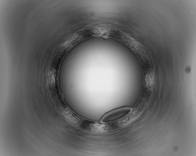 X0000100980570200806241546