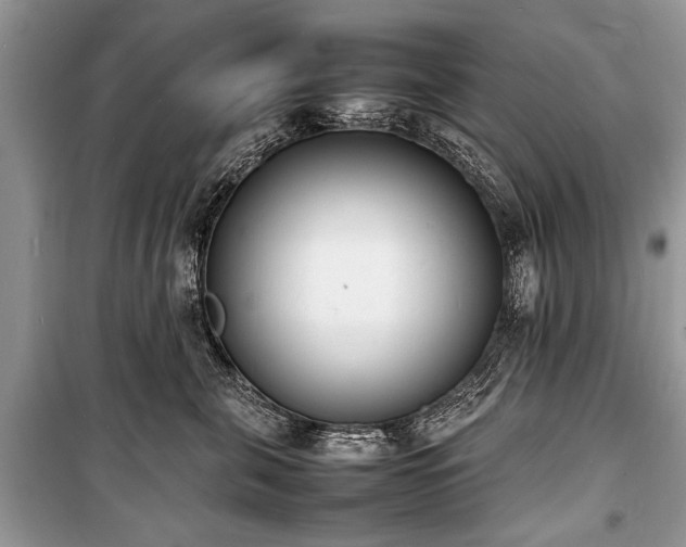 X0000100980571200806241546