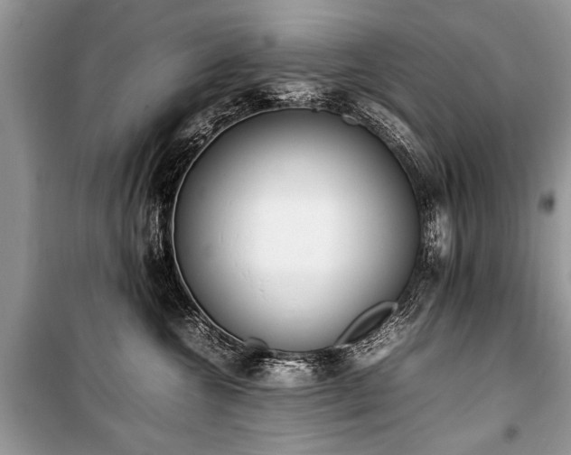 X0000100980572200806241546