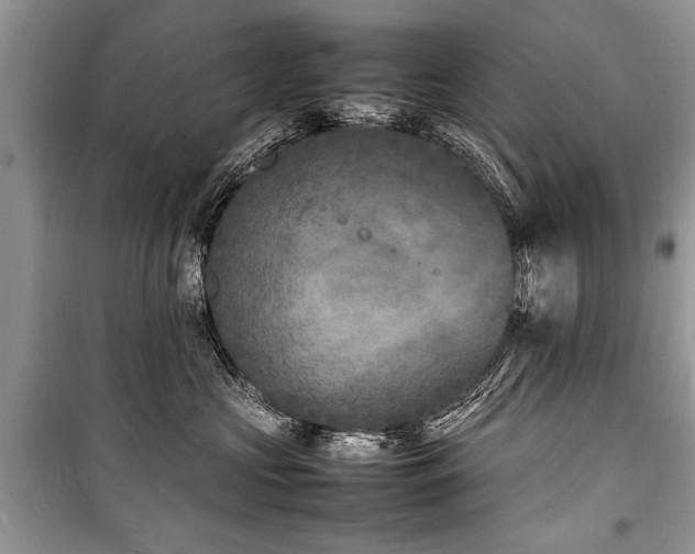 X0000100980573200806241546