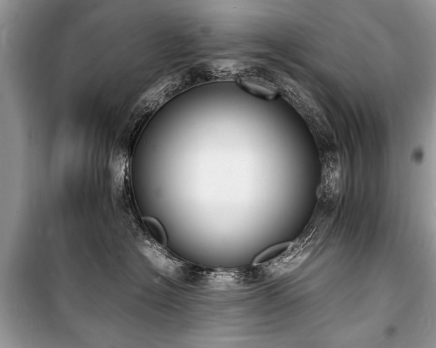 X0000100980574200806241546