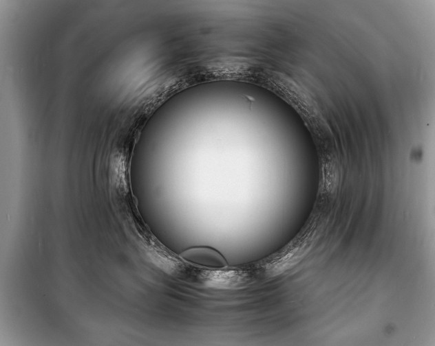 X0000100980575200806241546