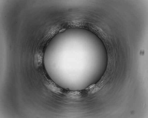 X0000100980576200806241546